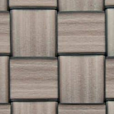 SEASHELL FLAT-FLAT 30 mm