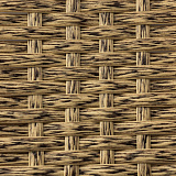Индийское дерево